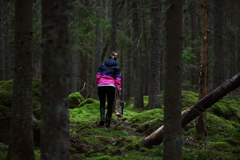 Pilze sammeln im Wald