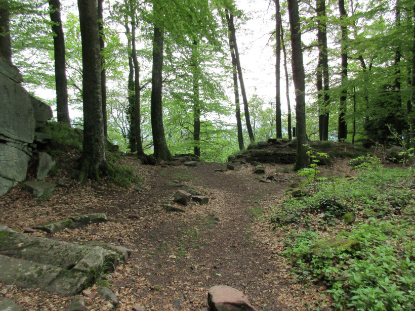 Vogesen Wanderweg